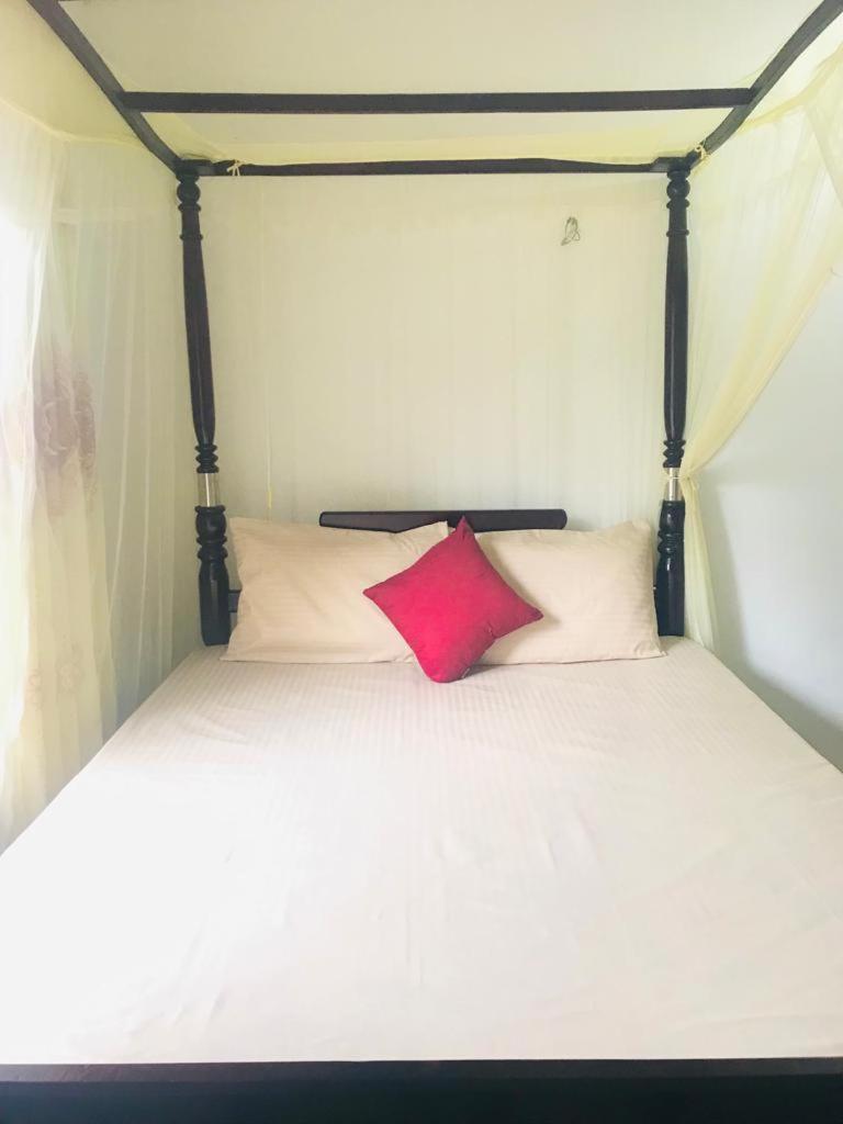 Summer House Mirissa Bagian luar foto