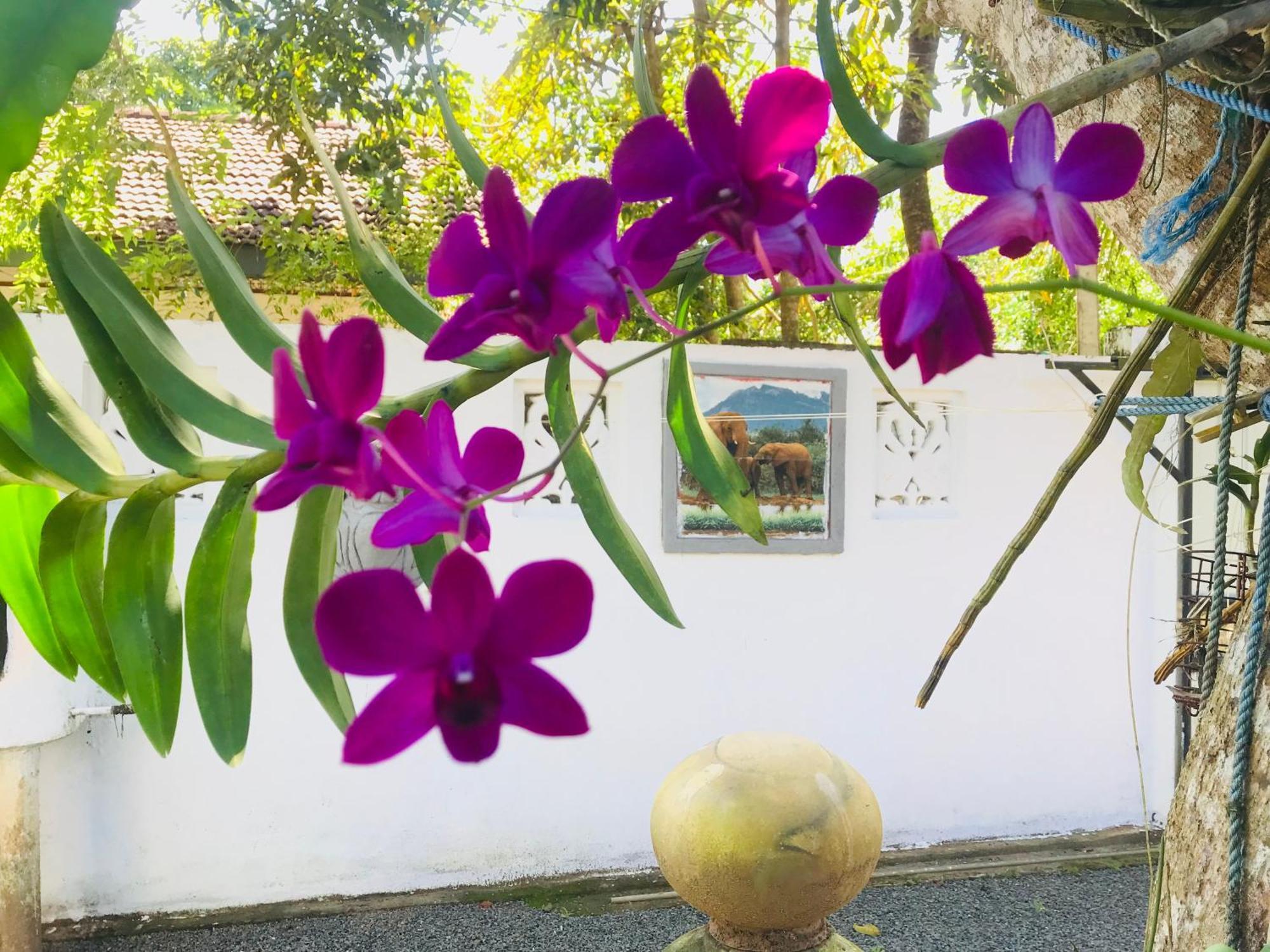Summer House Mirissa Bagian luar foto